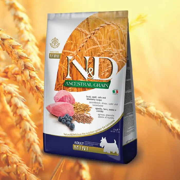 N&D Ancestral Grain | Lamb Mini 15.4 lb