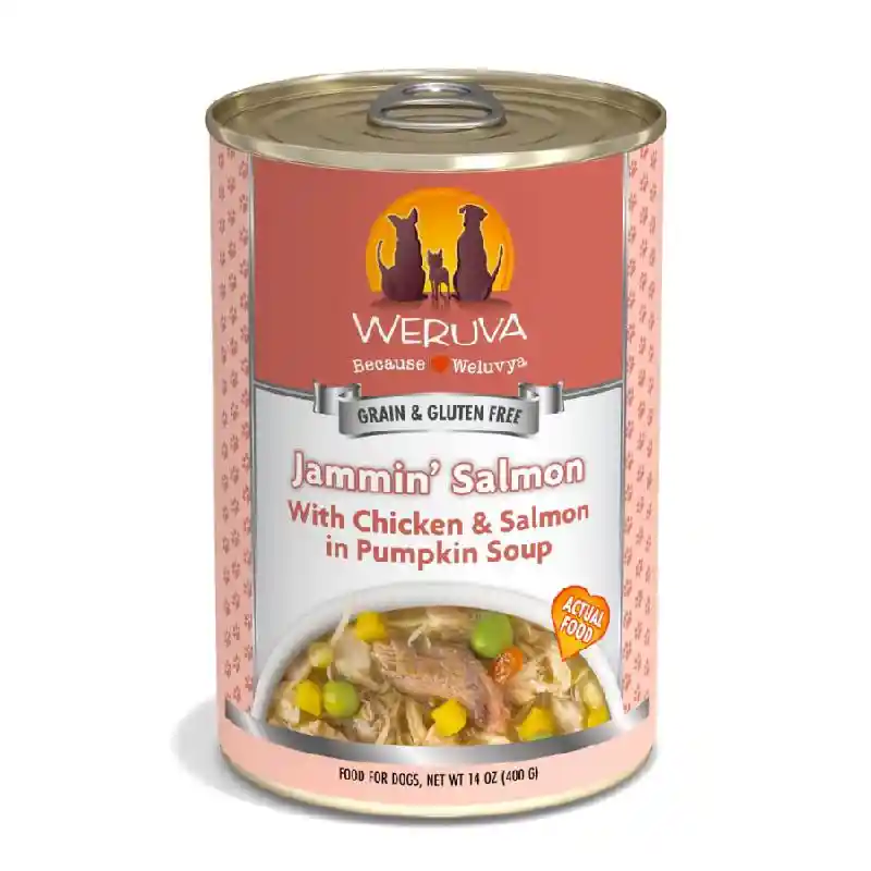 Weruva | Jammin' Salmon 14oz