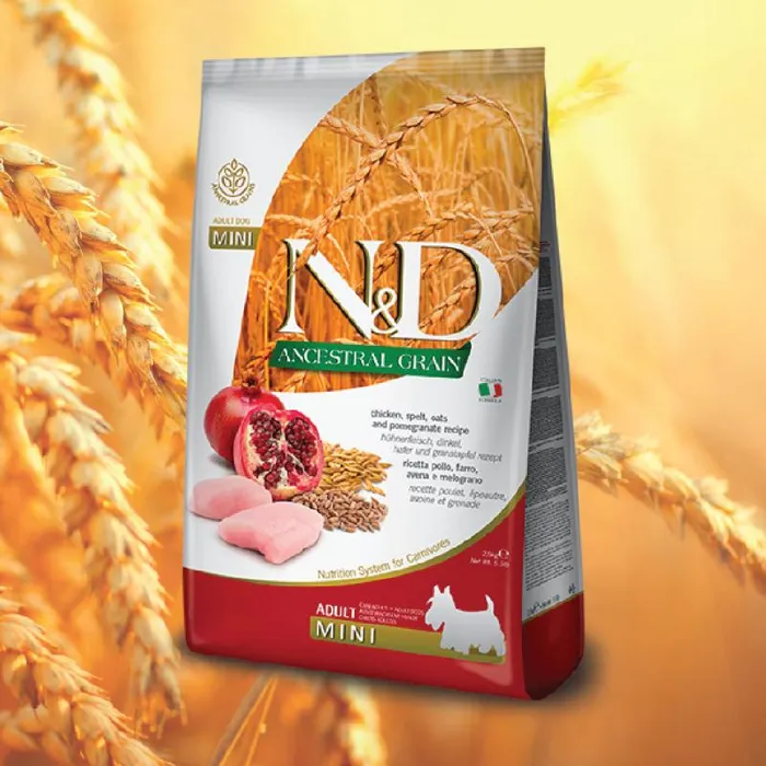 N&D Ancestral Grain | Chicken Mini 5.5 lb