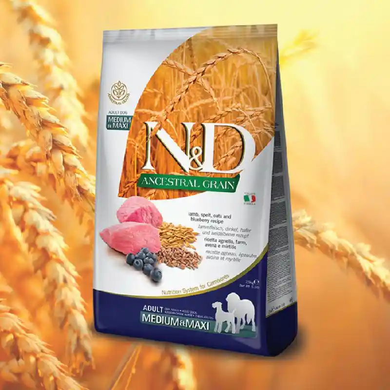 N&D Ancestral Grain | Lamb Medium & Maxi 26.4 lb