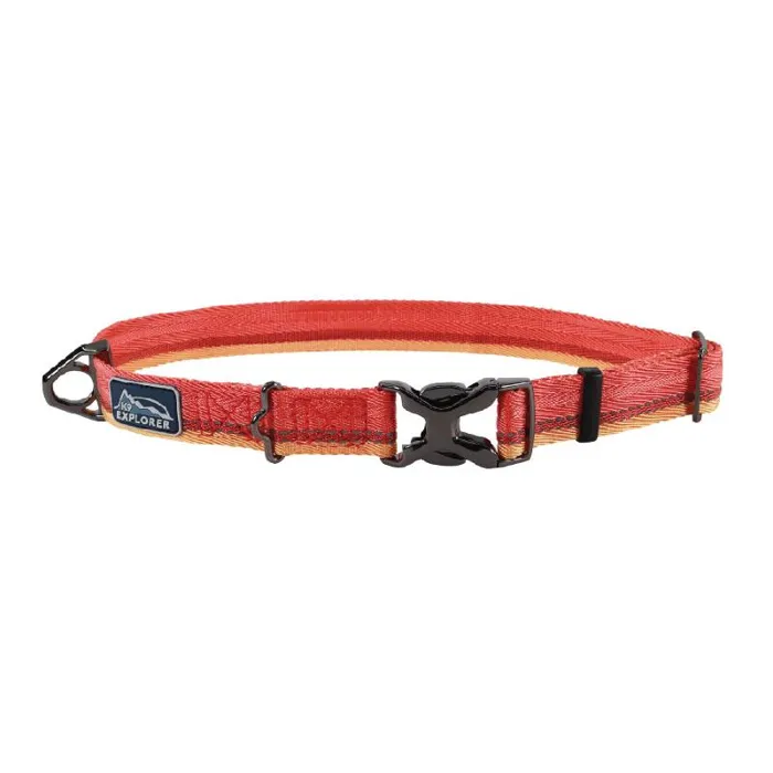 K9 Explorer | Trek Collar LG - Sahara