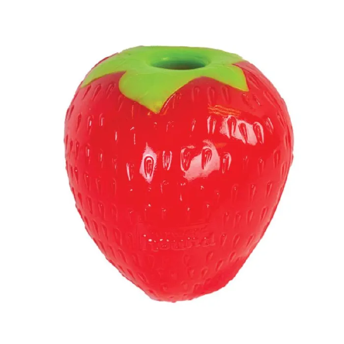 Outward Hound | Strawberry