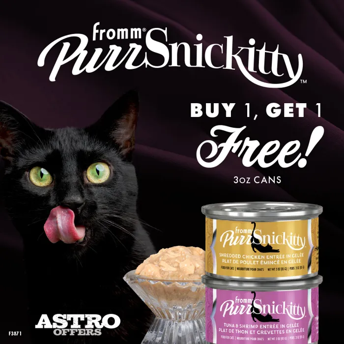Promotion Image