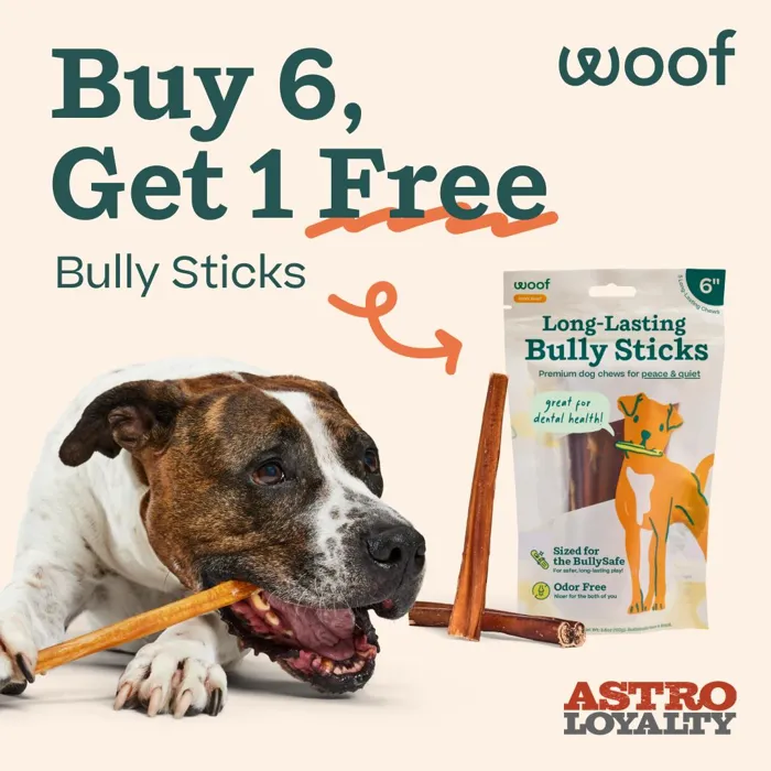 Promotion Image