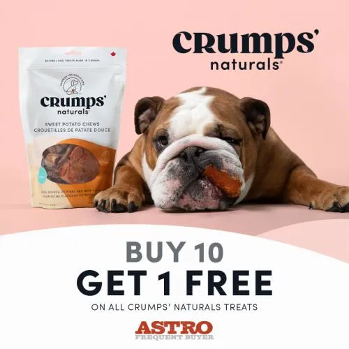 Promotion Image