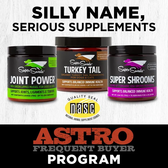 Promotion Image