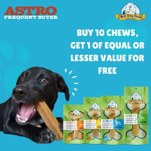 Promotion Image